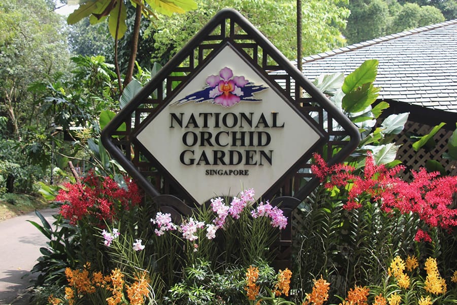 Singapore in Summer Feels Like a Green Dream Come True
