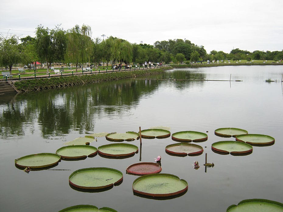 Explore Xe Quyt Forest – A Secret Mekong Delta Jungle With History And Wildlife