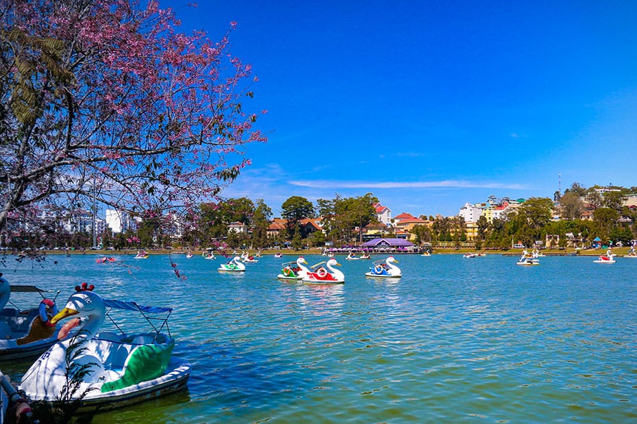 Da Lat Accommodation Guide – Budget Midrange and Luxury Hotels in the City Center